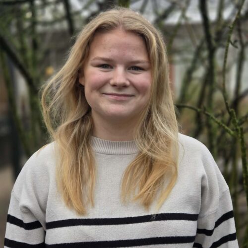 Katrine